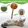 ALTABOMBA Silvervine Sticks for Cats, Lollipops Catnip Toys & Cat