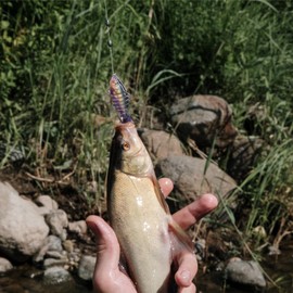 Robotic Fishing Lure Fishing Tackle with Eyes Fishing Lure with Realistic Appearance Highly Detailed Painting Bright