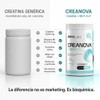 Epic Labs CreaNova® Creatina Monohidratada con Vitamina B6, Alta Pureza,