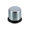 Set of 2 Threaded Plugs with O-Ring SWH Fork