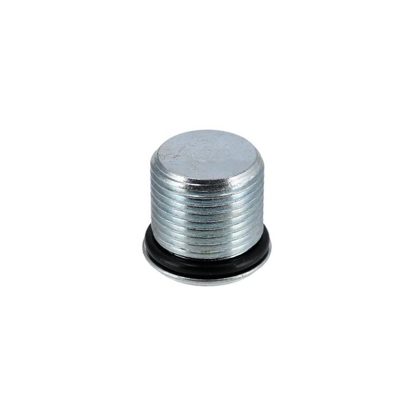 Set of 2 Threaded Plugs with O-Ring SWH Fork