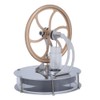 Low Temperature Stirling Engine Motor Steam Heat Education Model Toy