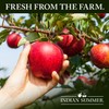 Indian Summer Chunky Peach Applesauce, 23 Ounce (Pack of 6)