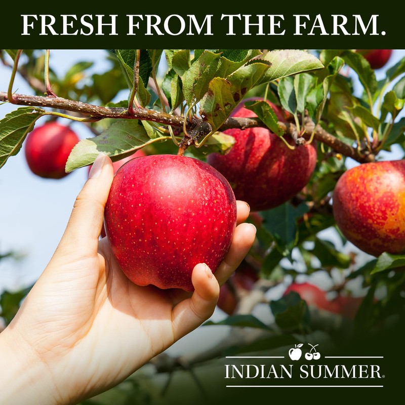 Indian Summer Chunky Peach Applesauce, 23 Ounce (Pack of 6)