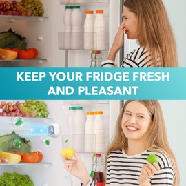 MHAMO Fridge Deodorizer - Rechargeable Mini USB Refrigerator Deodorizer | Electric Fridge Odor Eliminator Absorber with Charcoal Filter Removes Fridge Smell | More Effective Than Baking Soda
