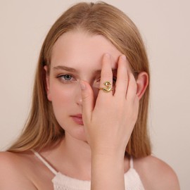 Winssigma 18K Gold Plated Initial Adjustable Ring for Women(V)