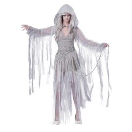 California Costumes - Disfraz de espíritu fantasma de Haunting Beauty para mujer, gris, talla grande