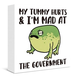 Funny Frog Decorations My Tummy Hurts and I'm Mad at the Government Frog Wooden Box Sign for Home Living Room Shelf Wall Decor