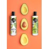 Organic Shop Repairing Shampoo for Damaged Hair Avocado and Olive,