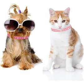 Pimaodog Rhinestone Dog Collar Suede Leather Crystal Diamond Colorful Bling Girl Puppy Cat Collars XS Small Pets (M, Hot Pink)