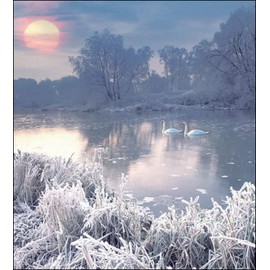 Woodmansterne Pack of 5 Artistic Charity Christmas Cards - Peace and Joy - Lovely Photographic Winter Lake Scene - 5 Cards of 1 Design
