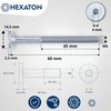 HEXATON M6 x 60mm Hex Socket Pan Head Screws -