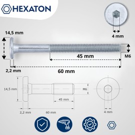HEXATON M6 x 60mm Hex Socket Pan Head Screws - Partial Thread - Pack of 50 - Galvanised Steel - Furniture Screws with Flat Head
