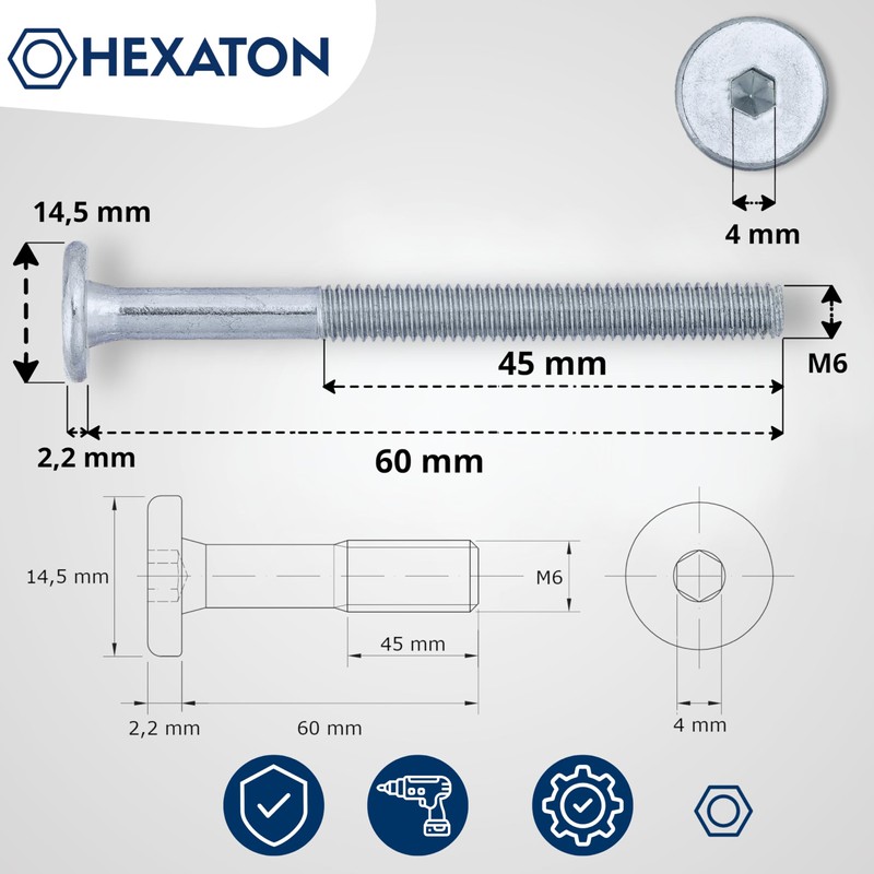 HEXATON M6 x 60mm Hex Socket Pan Head Screws -