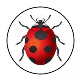 Homemade 48 LadyBug  !!  ENVELOPE SEALS LABELS STICKERS 1.2" ROUND