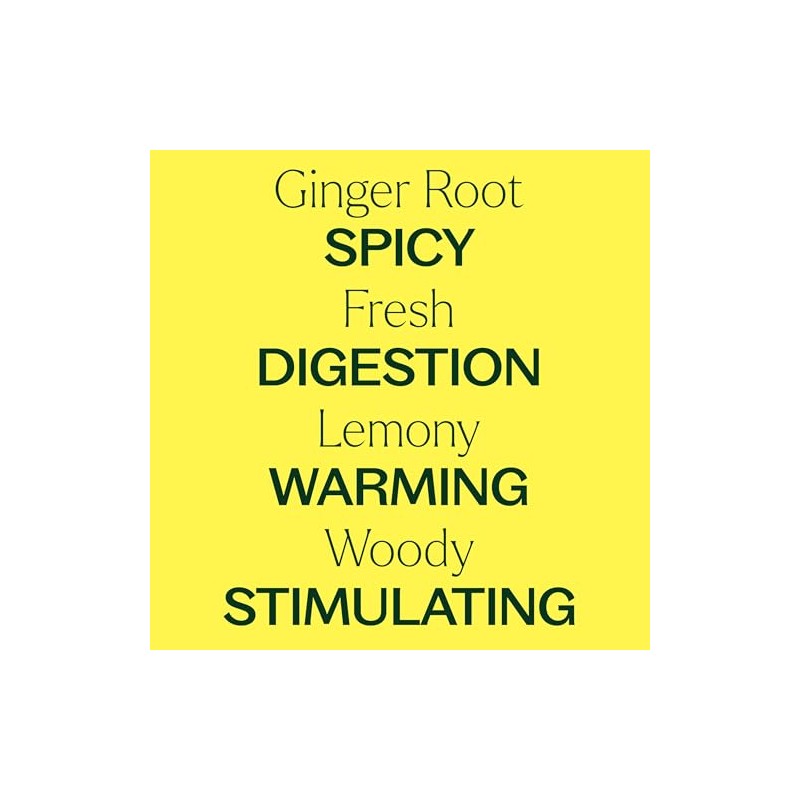 Plant Therapy Aceite Esencial De Jengibre 10ml