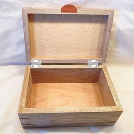 Lift-off Hinges (2 Pieces) Hinge, Elevating Hinge, Hardware Door Hinge, Stainless Steel Hinge, Left Removable, Door Hardware, Furniture Repair Hardware, Screws Included, 1.5 x 0.9 inches (37 x 22 mm)