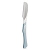 Feather Artist Club DX Japanese Razor, Gray