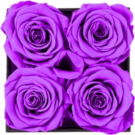 Nietiy Purple Forever Flowers Roses in a Box,Real Preserved Flowers,Preserved Roses,Forever Flower Gifts for Women/Men/Mom,Flowers for Mothers Day,Purple