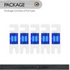 Conext Link AFS60-10 Nickel 60 Amp AFS Fuse 10 Pack
