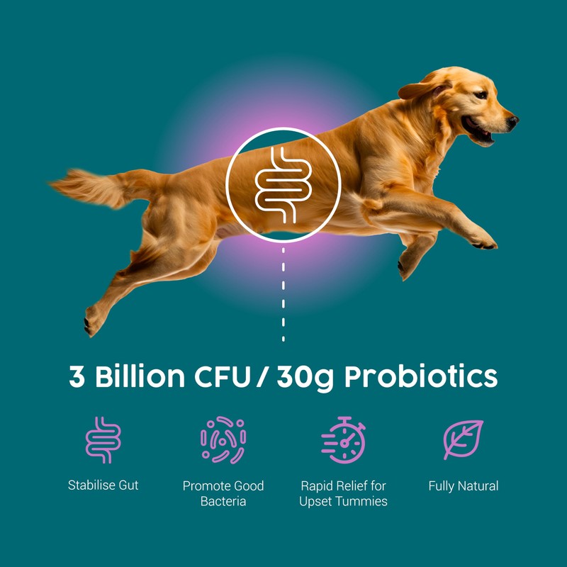 Zanipro Probiotic Refill Pouch for Dogs - 150ml Paste Prebiotic