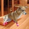 Lunali Dog Socks Socks for Dogs Anti-slip Velcro Set of