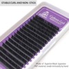 ELLIPSE CASHMERE Eyelash Extensions Forabeli - 16 Rows 0.20mm D