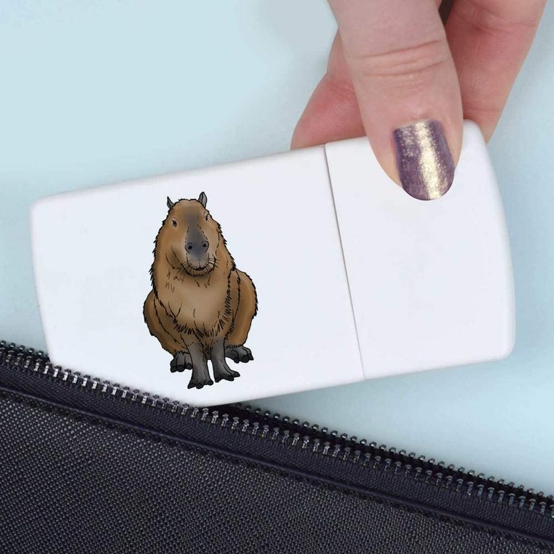 'Sitting Capybara' Pill Box with Tablet Splitter (PI00012344)