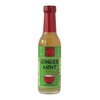 Paradigm Foodworks International Sauces (Ginger Mint)
