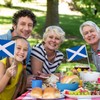 12 Pcs Scotland Stick Flag, 14x21cm Scotland Scottish Flag HandHeld
