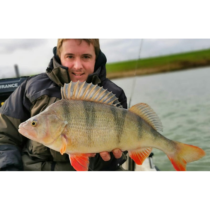Major Fish Bass Box 35-Piece Rubber Fish Hard Baits Set
