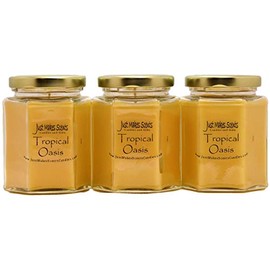 Just Makes Scents 3 Pack - Tropical Oasis Candles- Tropical Fruit Fragrance - Hand Poured in The USA (8 oz)