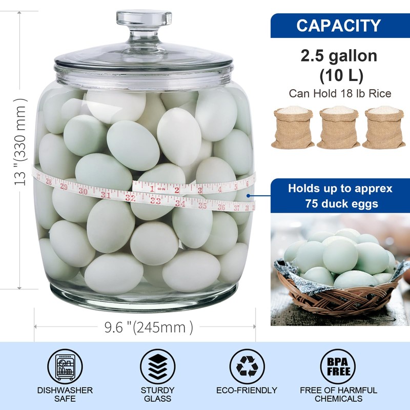 Daitouge 2.5 Gallon Glass Jars with Lids, Wide Opening Large