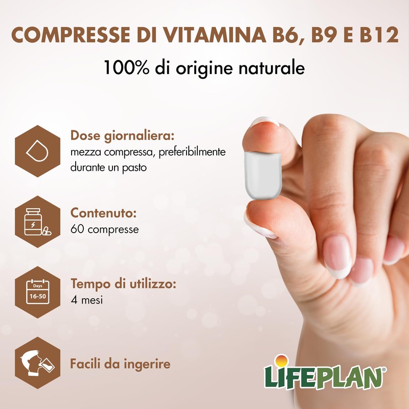 Lifeplan Alzaid 6-9-12 B complex 60 Tablets