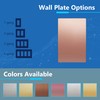 LIDER Screwless Wall Plate, Blank Device Metal Cover Mid-Size, Wall