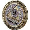 RecoveryChip 9 Month AA Medallion Reflex Funfetti Birthday Glitter Gold