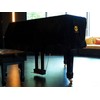 Kaieyres Grand Piano Cover, Velvet Piano Cover Decorative Full black