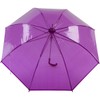 10pk Purple Auto Open Transparent Umbrellas