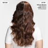 L'Oréal Technique HiColor Browns & Blondes Permanent Hair Color -