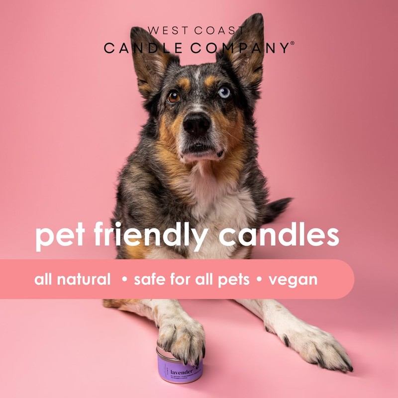 Pet Friendly Candle | Pet Safe Candle | All Natural