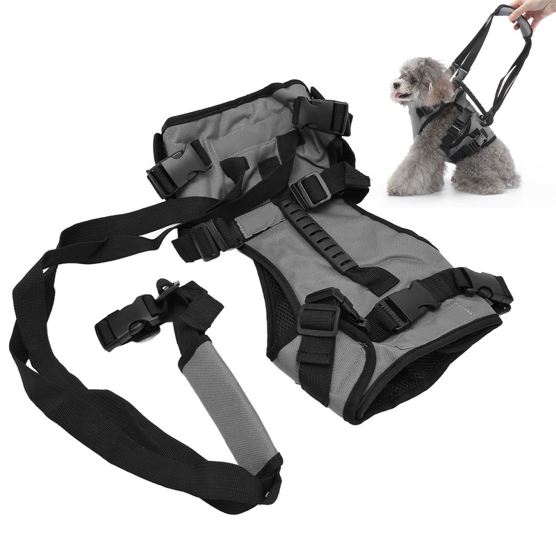 Cat Vest Harnesses Leash Adjustable Breathable Stylish Multifunctional Pet Walking