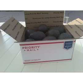 Fallbrook Hacienda Organic Avocados - Large Hass - No Pesticides or Herbicides - Medium Box