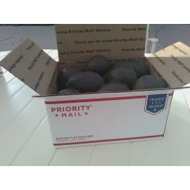 Fallbrook Hacienda Organic Avocados - Large Hass - No Pesticides or Herbicides - Medium Box