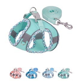 Petank Dog Harness for Small Medium Dogs No Pull, Puppy Harness and Leash Set, Easy Walk Dog Harness for Walking, Running, Training, Small Dog Harness, Medium Dog Harness (Green, XXS)