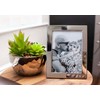 Frametigo Silver Plated Spotted Corner Photo Frame - Fits Picture