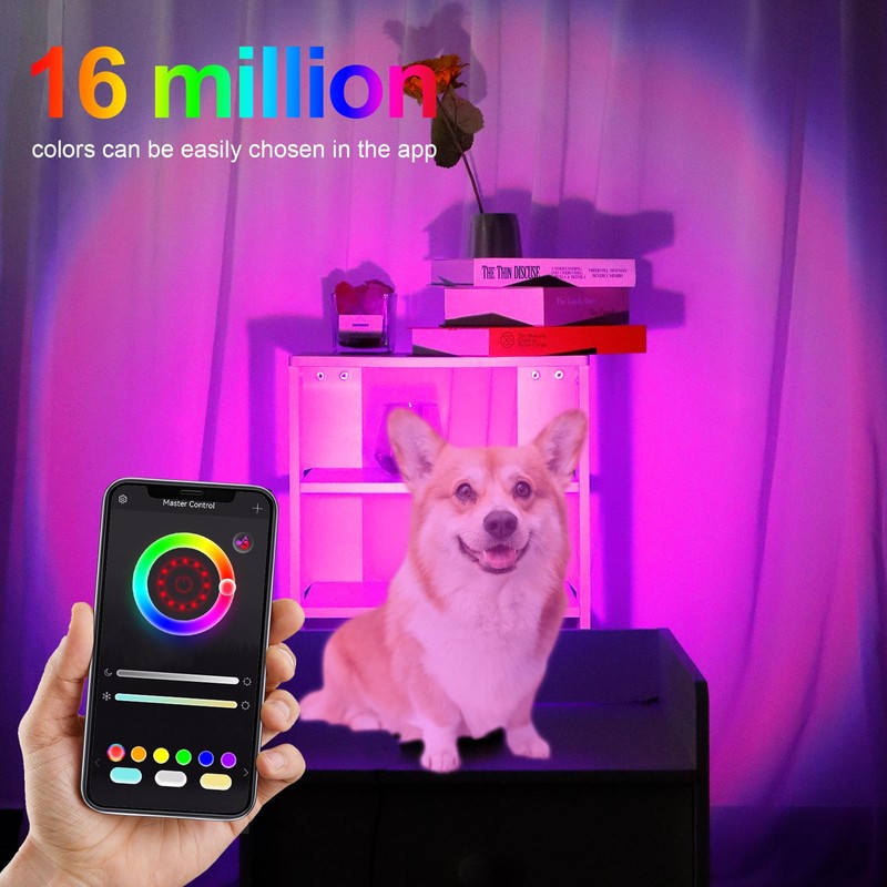 Sunset Lamp Projection with App & Remote Control – 16M