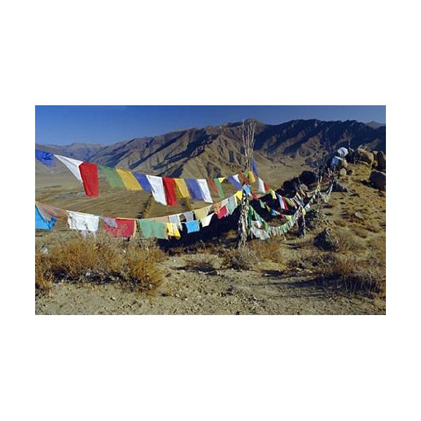 Medium Tibetan Prayer Flags
