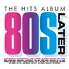 The Hits Album: Later 80'S