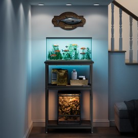 APPOLYN 5-10 Gallon Fish Tank Stand, Metal Aquarium Stand with Storage, 3 Tier Fish Tank Stand, 10 Gallon Fish Tank Stand with 20.5" L x 11.4" W Tabletop, Black