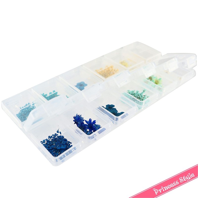 Princessstyle Nail & Resin Parts, Dried Flower Parts (Summer Color